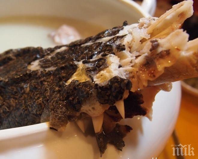 Великденска екзотика! Крокодилски опашки вместо агнешко за празника