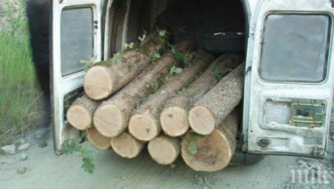 Санкция! Секвестираха джипа на нагли бракониери, секли в гората