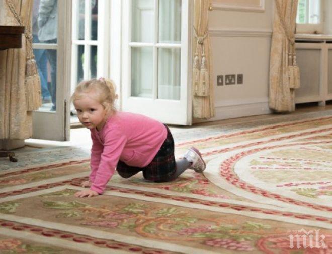 Випове се събуха боси в британското посолство