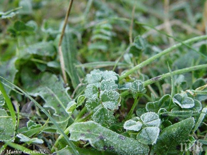 18 области с жълт код заради ниски температури сутринта