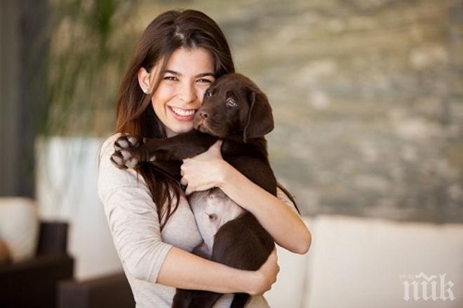 Ето защо никога не трябва да гушкаме кучето си