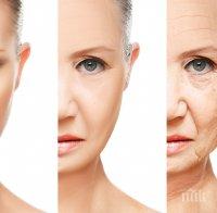 Учени разкриха тайната на бързото стареене