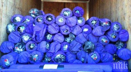 модна фирма изпищи