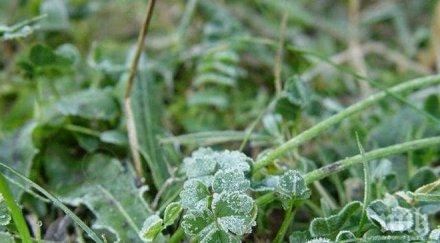 жълт код цялата страна ниски сутрешни температури