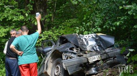 опасност живота шофьора отсече дърво пътя