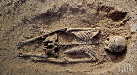 учени откриха старите следи войната хищниците хората