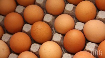 експерти съветват купувайте месо яйца търговски обекти