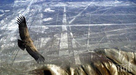 откриха нов тайнствен знак платото наска