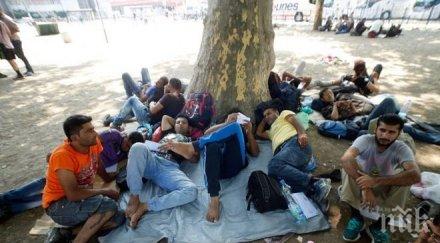 видяха чудо гърците строят три лагера бежанци