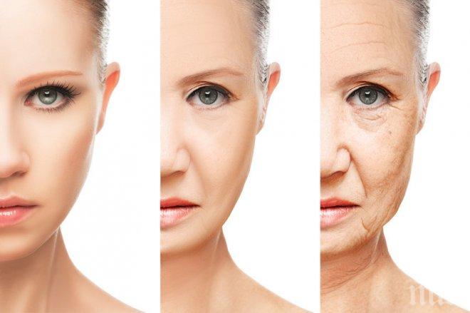 Учени разкриха тайната на бързото стареене