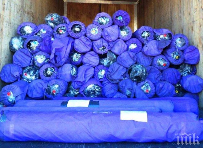 Коя модна фирма ще изпищи! 