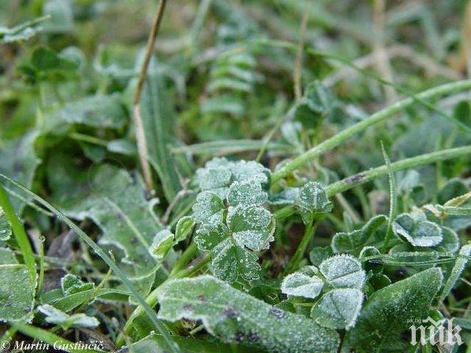 Жълт код в цялата страна за ниски сутрешни температури