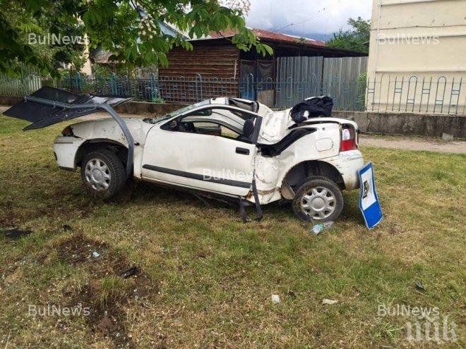 Кола с френска регистрация отнесе дърво край Добрич