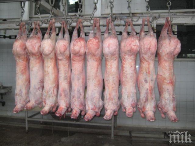 ДФ „Земеделие” отпуска 1 млн. лв. за реализация на българско агнешко месо