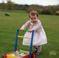 Световни лидери затрупаха с подаръци принцеса Шарлот! Ето какви