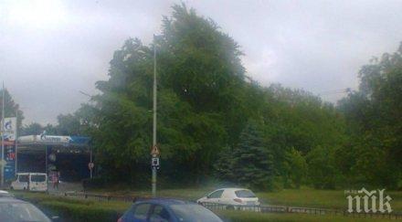 шофьор епилепсия причинил катастрофата пловдив снимки