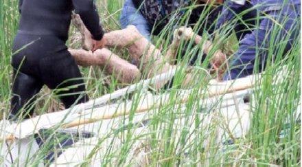 ужасяващи кадри изваждането удавника али ябланово снимки видео