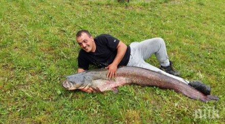 извадиха огромен сом язплаково велико търново
