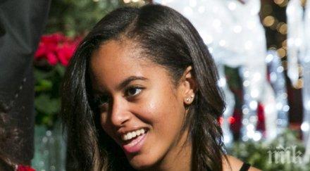 малия обама учи харвард