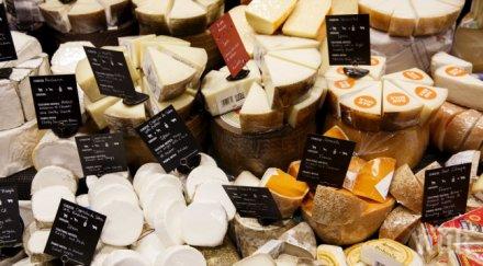 европейско сирене гризе америка