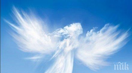 скрити послания оглеждайте ангелите дават знаци