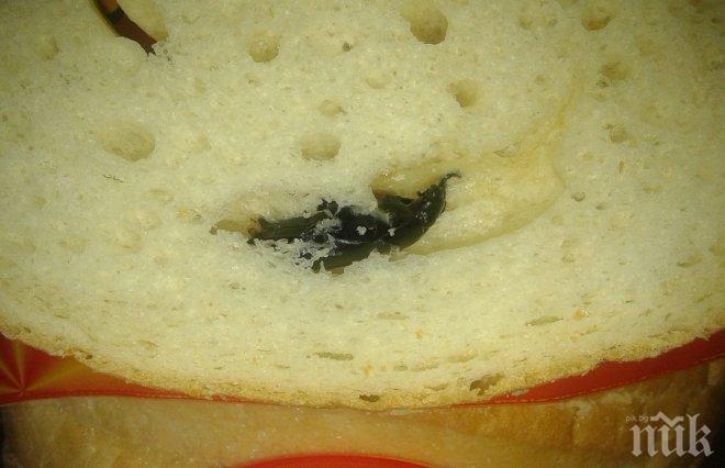 ГНУСНО: Жена си купи хляб от магазина в Монтана и изпищя от намереното (СНИМКА)