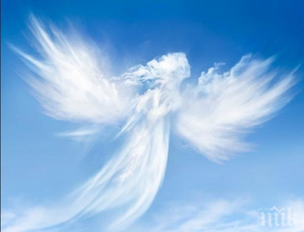 Скрити послания: Оглеждайте се, ангелите ни дават знаци!