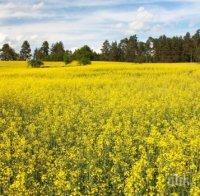 Рекорд! Фермер спечелил 3 милиона за година