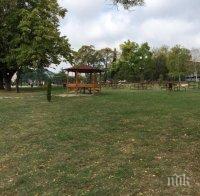 Намаляват се таксите за паша в националните паркове