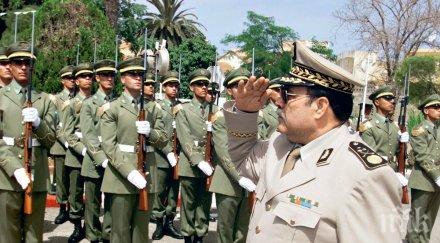 армията алжир ликвидирала терористи изминалата седмица