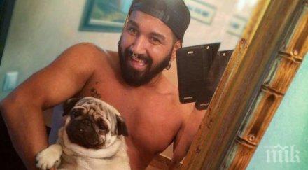 доживяхме азис нае прислуга мопса