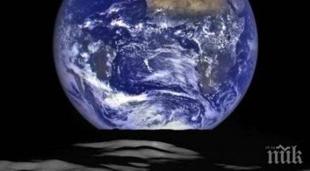 земята дом трилион вида