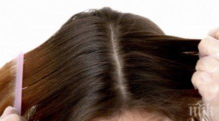 пърхота спасите домашни лекове