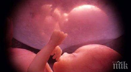 сензационно учени отгледаха двуседмичен човешки ембрион лаборатория