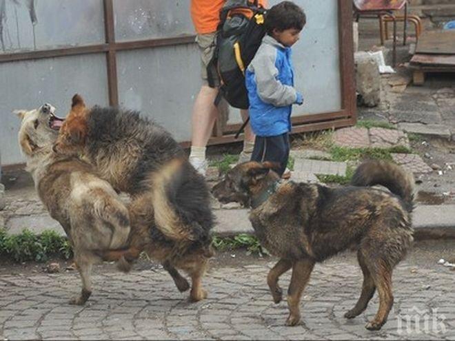 Село скочи срещу кучкарник