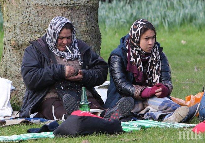 17 млн. мигранти в Германия: бедни, необразовани и без работа, но щастливи