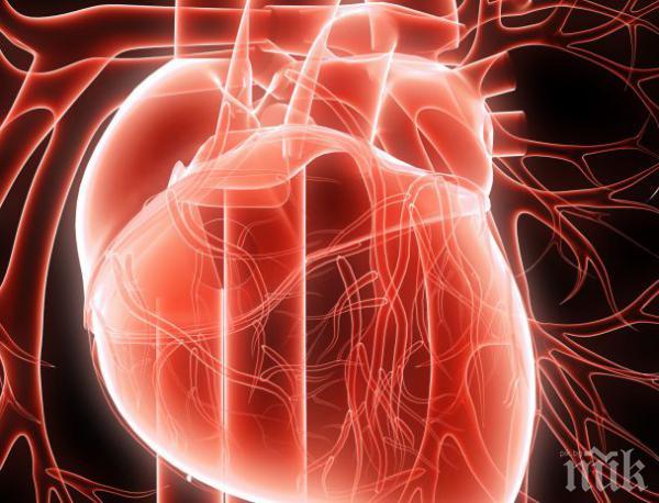 Нощните смени причиняват болести на сърцето