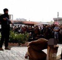 Над 50 масови гробове са открити в Ирак 