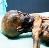 Откриха женска мумия на 4500 години
