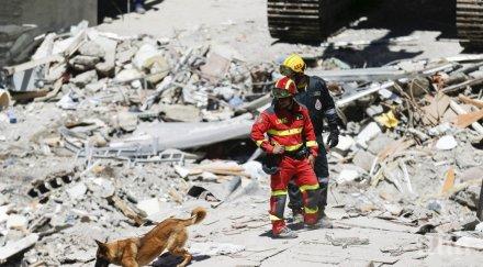 станаха жертвите срутилата сграда найроби