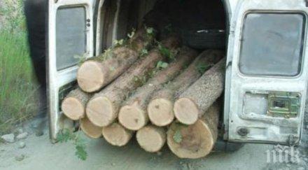 дамтн агенцията горите провериха предприятия дървопреработвателната промишленост