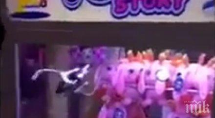 азиатец надхитри автоматите плюшена играчка видео