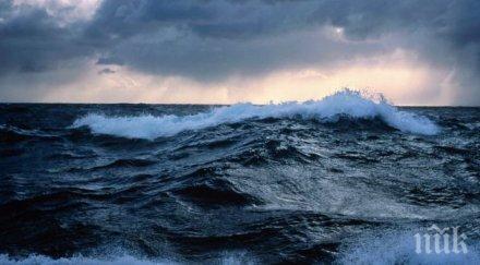 уникум откриха фосили чудновато морско влечуго