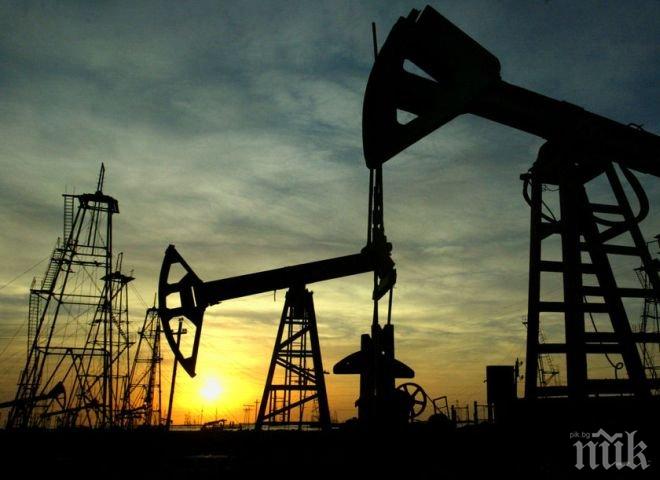 Откриването на нови находища на петрол удари 60-годишно дъно
