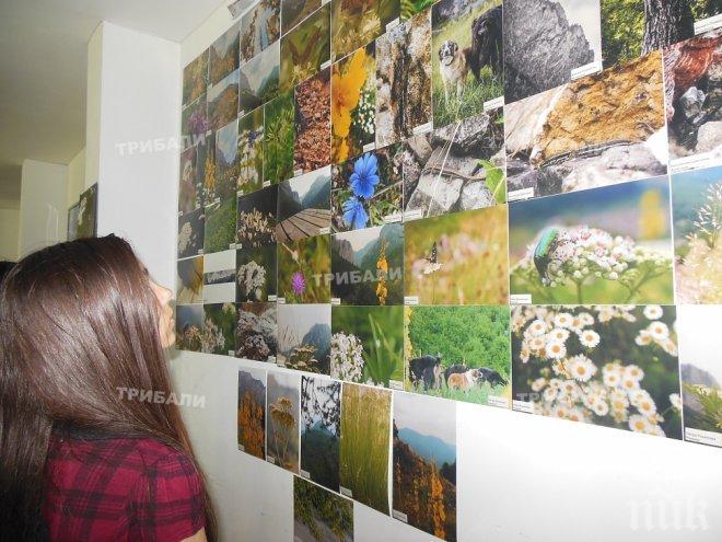 Представиха фотоизложбата “Споделена красота” в Ивайловград