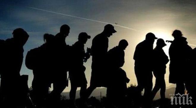 Двама българи застават пред сръбската Темида-превели с банда каналджии 200 бежанци за 200 000 евро