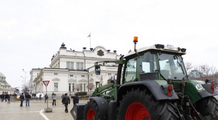 бойко влезе титан котараците организират защитата
