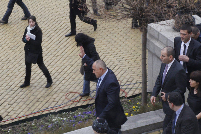 Бойко с тур за овации пред парламента в компанията на прасета (Снимки)