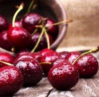 Шменти-капели с черешите! Килото удари 26 лева с опашатата лъжа, че са български
