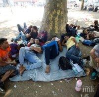 Европейският парламент решава как да се разпределят бежанците